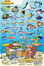 Duikkaart Aruba Reef Creatures Guide (Minicard) | Franko Maps