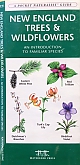 Natuurgids New Engeland Trees & Wildflowers | Waterford Press