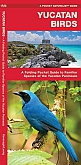 Natuurgids Vogelgids Yucatan Birds | Waterford Press