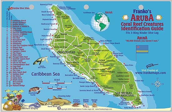 Duikkaart Aruba Reef Creatures Guide (Card) | Franko Maps