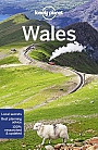 Reisgids Wales Lonely Planet (Country Guide)